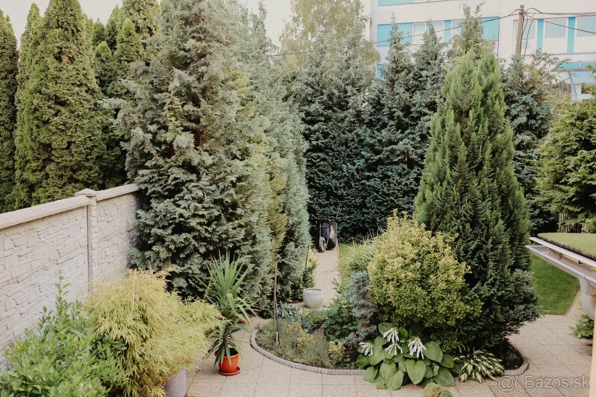 Predaj domu v centre Košíc - 7