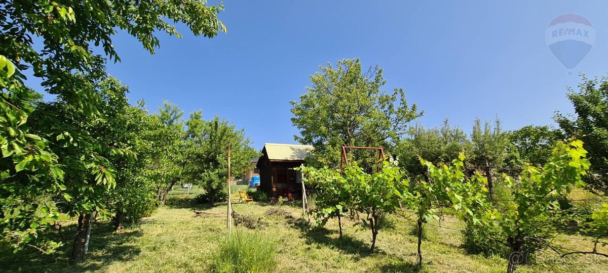 Predaj záhrada Štitáre 4 ár. - 7