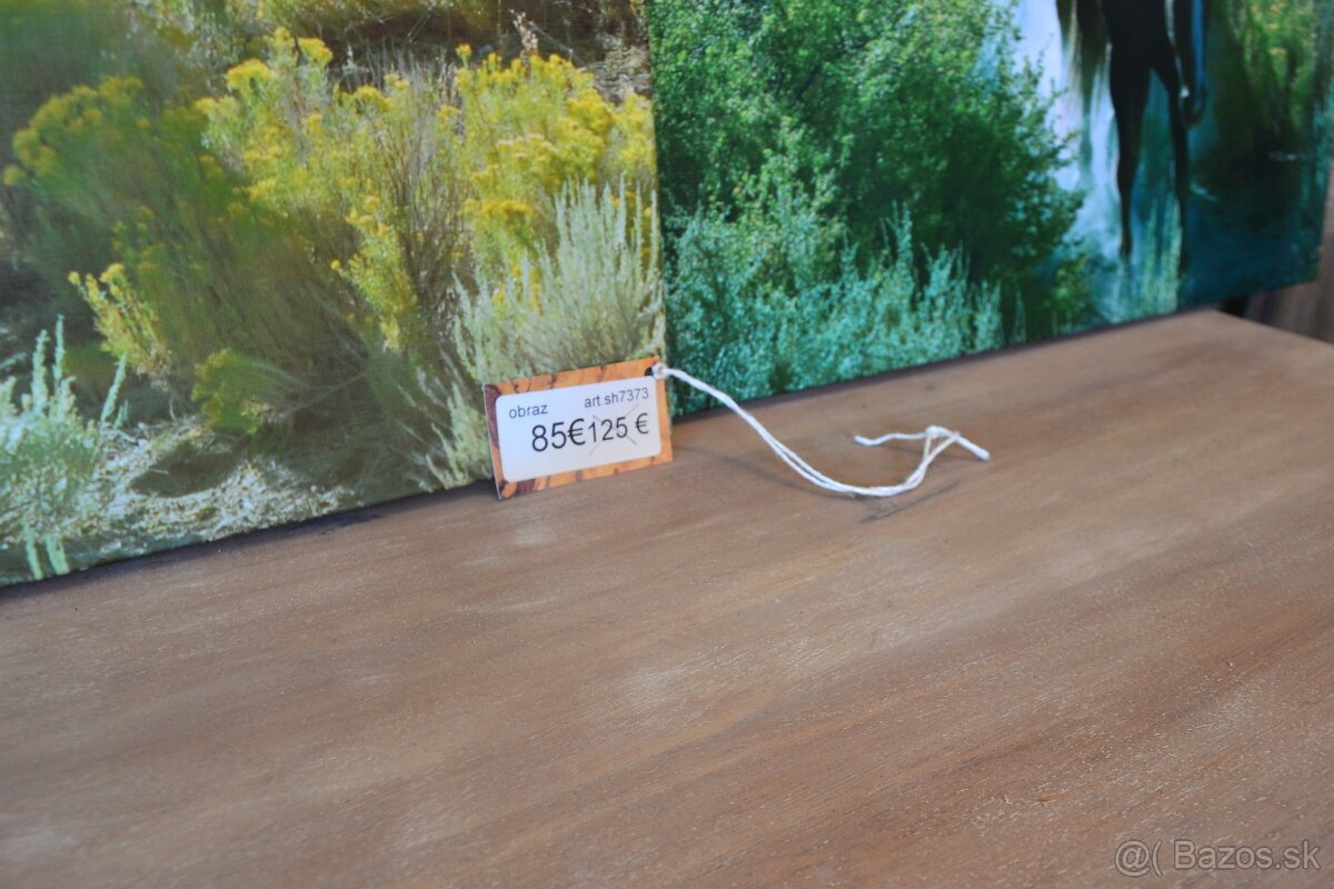 dekoracne obrazy - 7