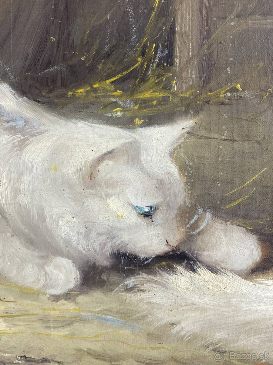 Obraz Mačky olej na plátne - 7