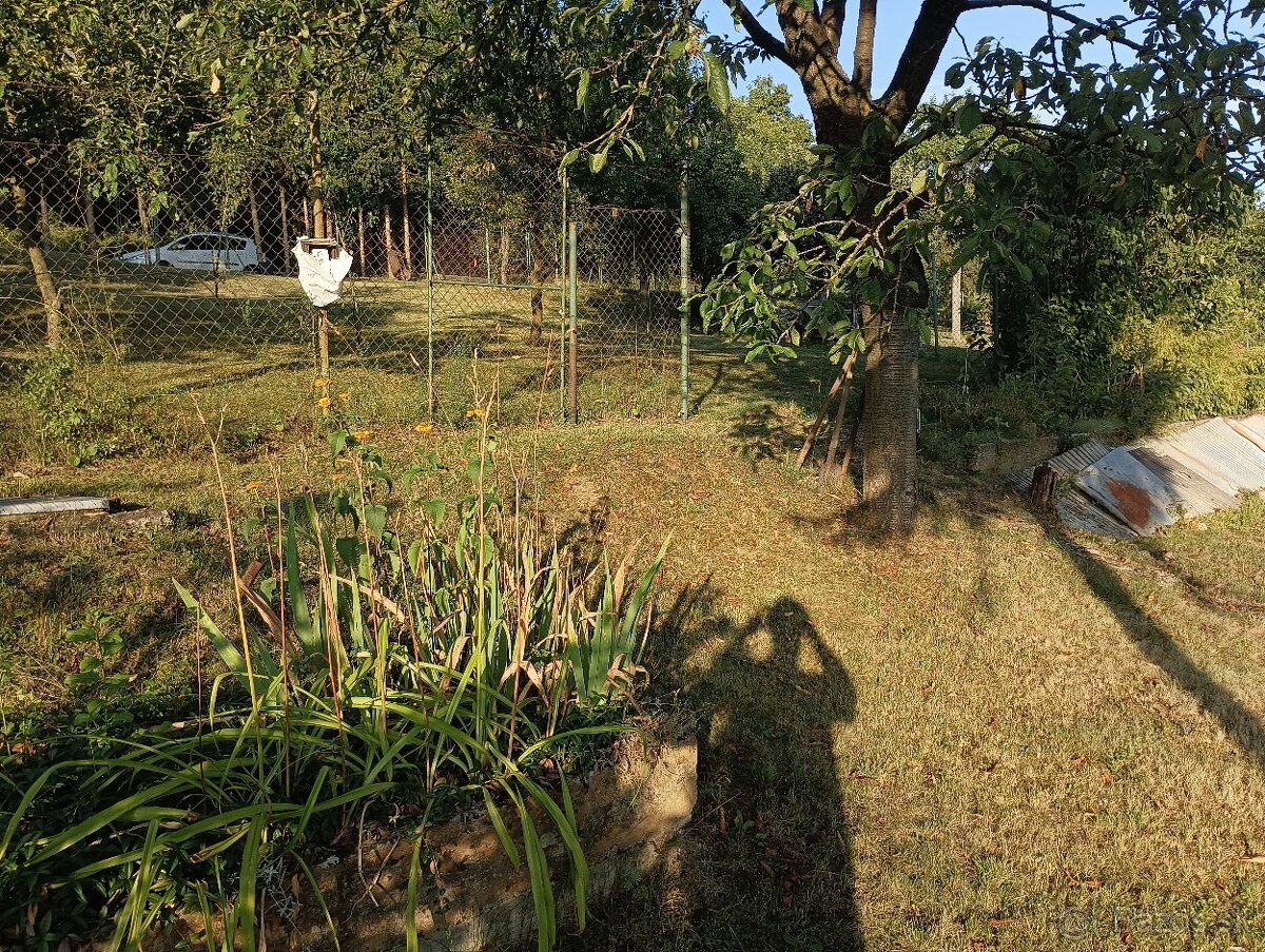 Predám pozemok, záhradu - 7