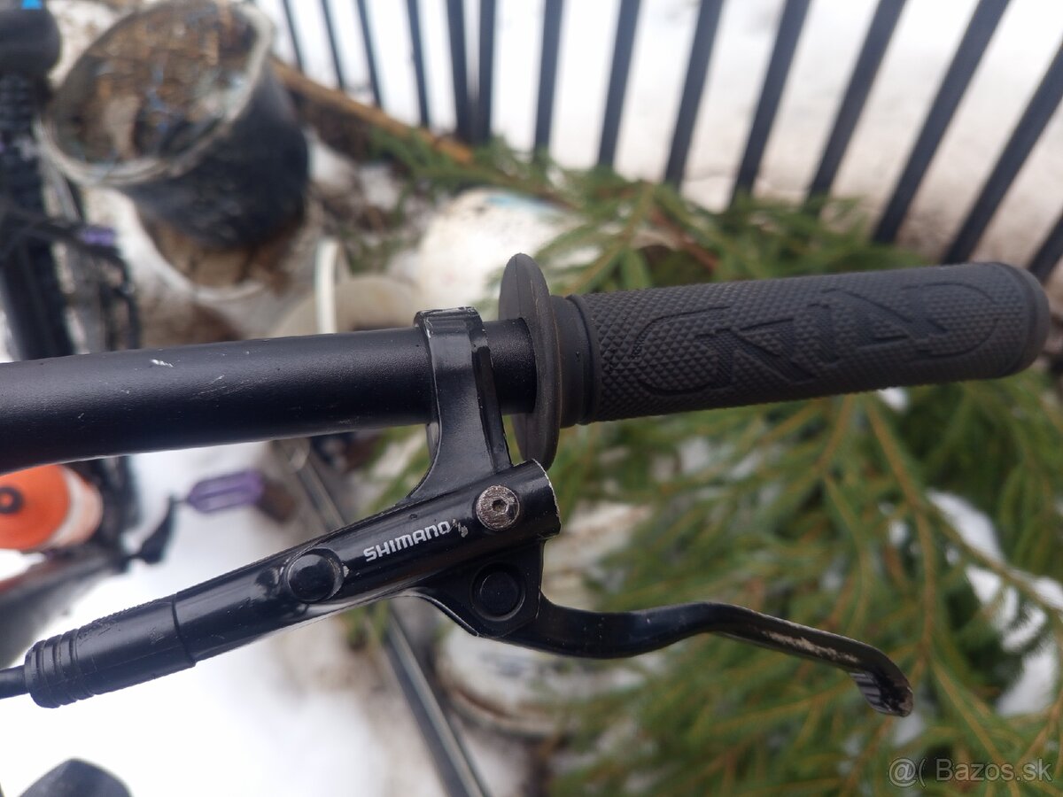 Vedora Camouflage 2019 - 7