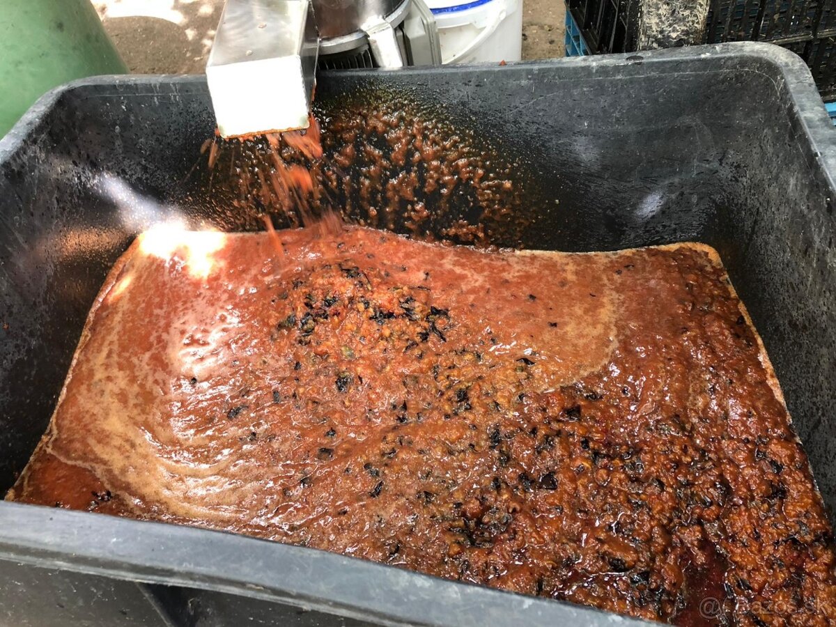 Nerezový profesionálne Odkôstkovač a drvič ovocia DOP-02 - 7