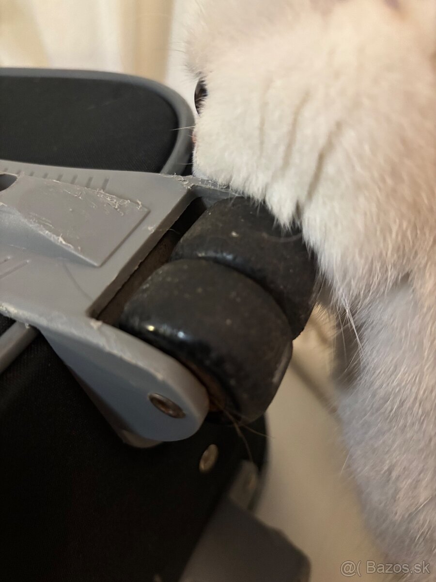 Cestovný kufor ECHOLAC BIG - 7