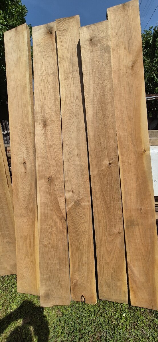 Čerešnove drevo - 7