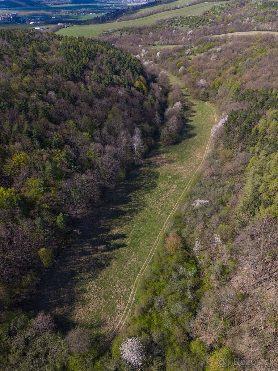 PREDAJ: Pozemok v obci Beckov - 7