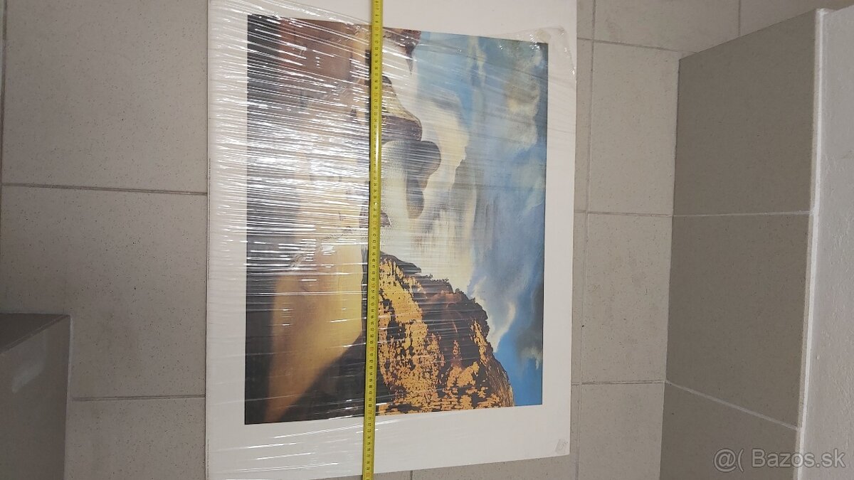 Foto na kartóne Salvator Dalí 80x60cm - 7