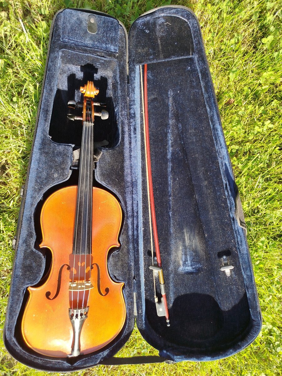 Viola - 7