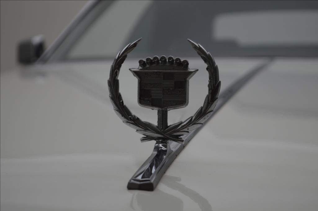 Cadillac Eldorado, FLEETWOOD 8,2 V8 (175 kW) 1973 - 7