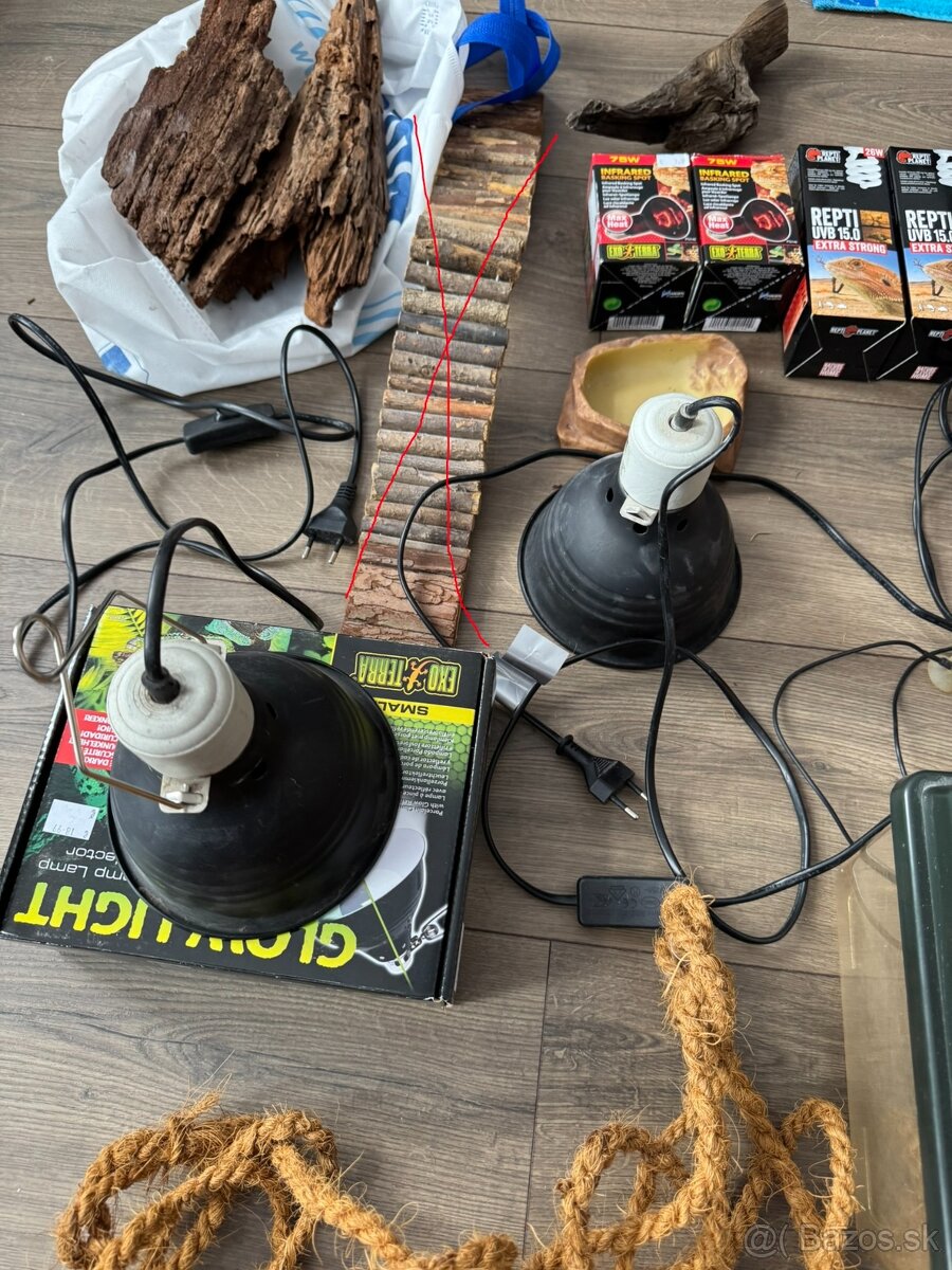 veci po chove agamy bradatej - 7