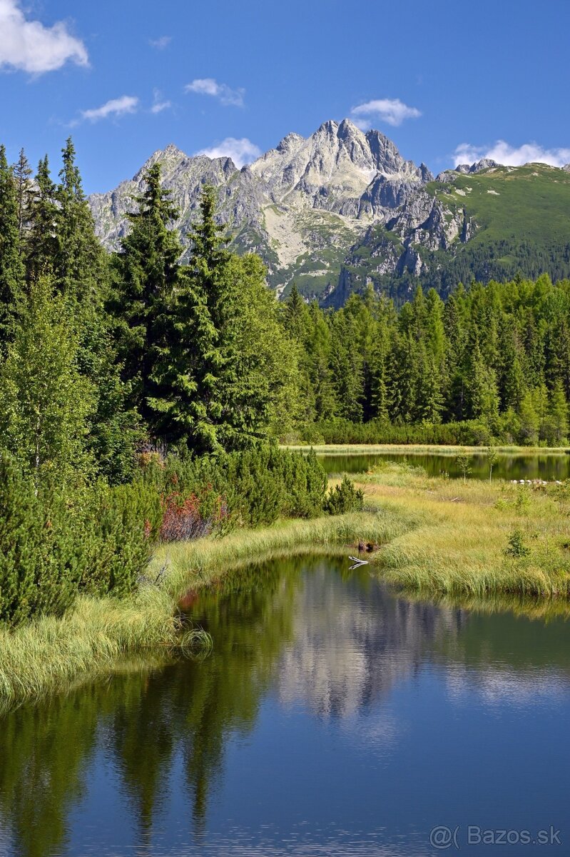 Nikon Z 24-70mm F/4 S - 7