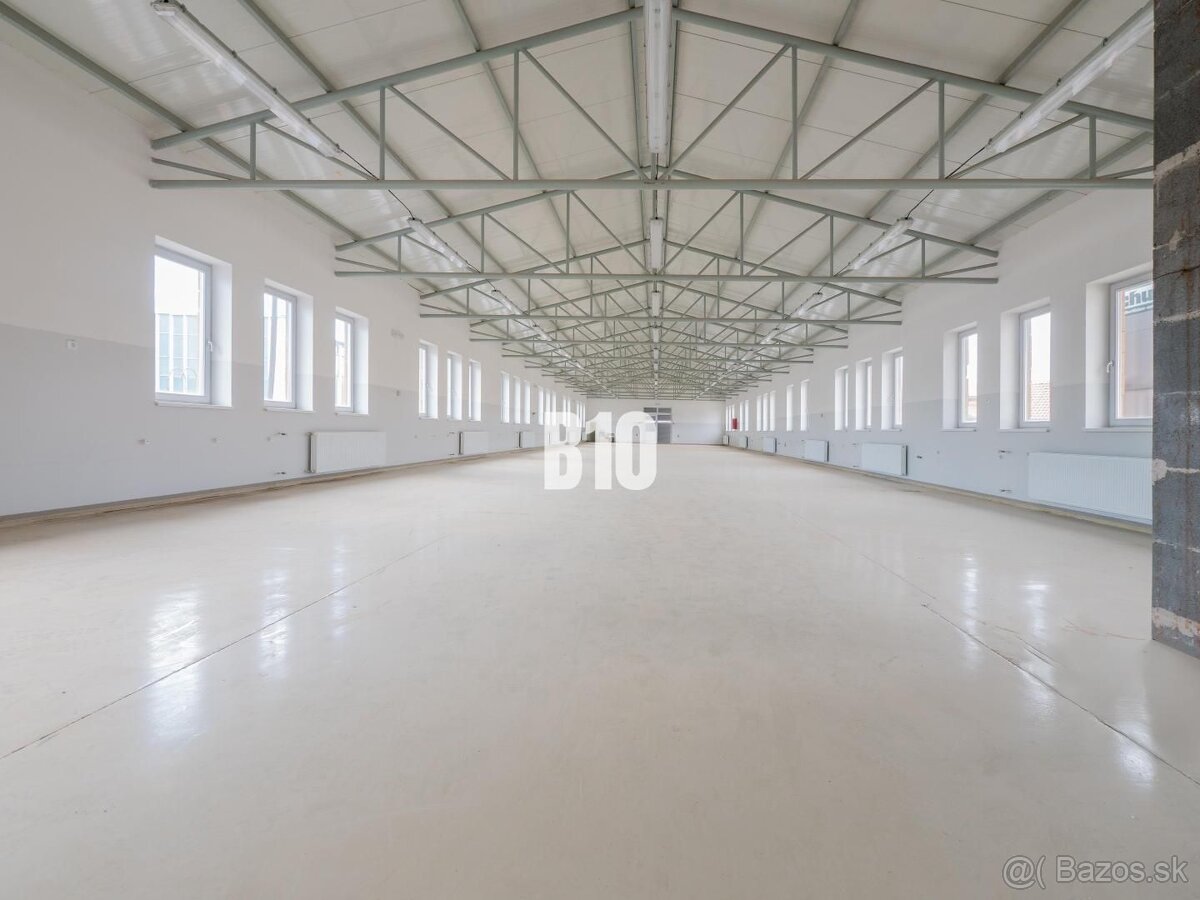Priemyselné priestory, výrobné haly a dielne v Leviciach - 7