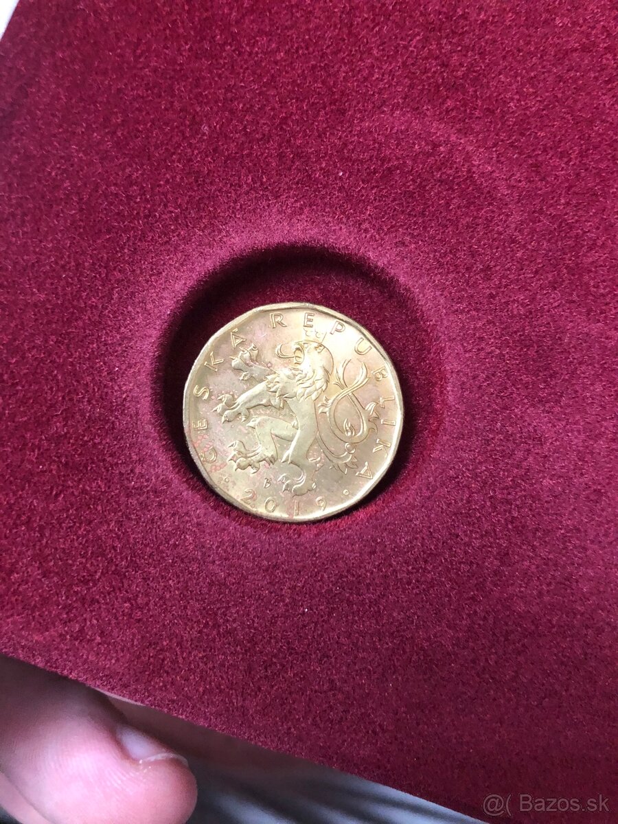 Mince CZ (2018-19) - 7