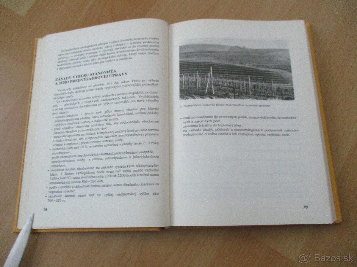 Rez a vedenie viniča - 7