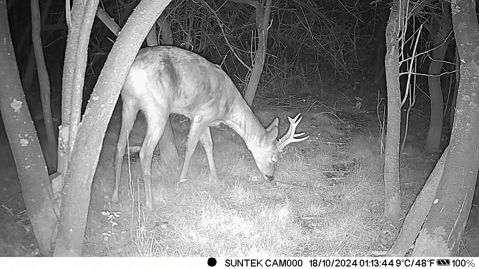 Fotopasca hc-900m - 7