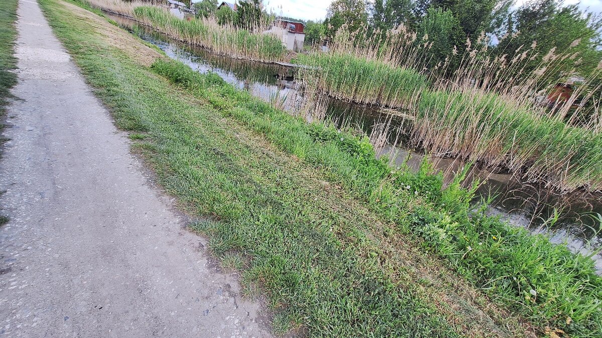 ‼️AKCIA‼️Predám zahradu s chatou v Štúrove na sutoku Dunaja - 7