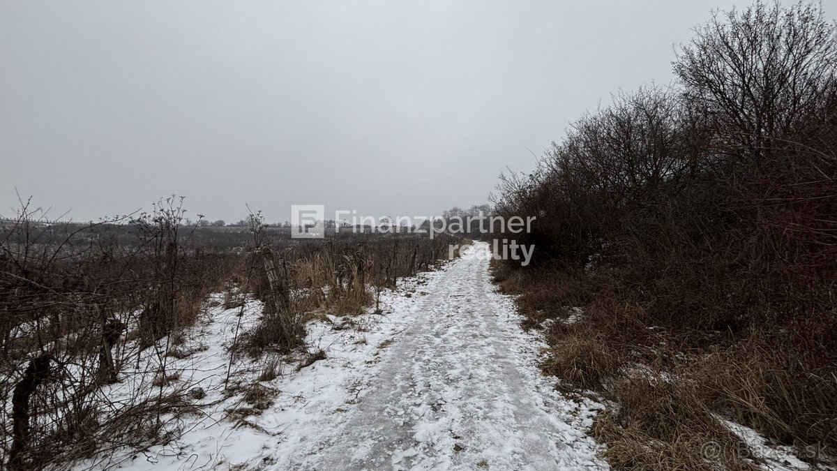 REZERVOVANÉ - Vinohrad 1862 m², v meste Pezinok + 3D - 7