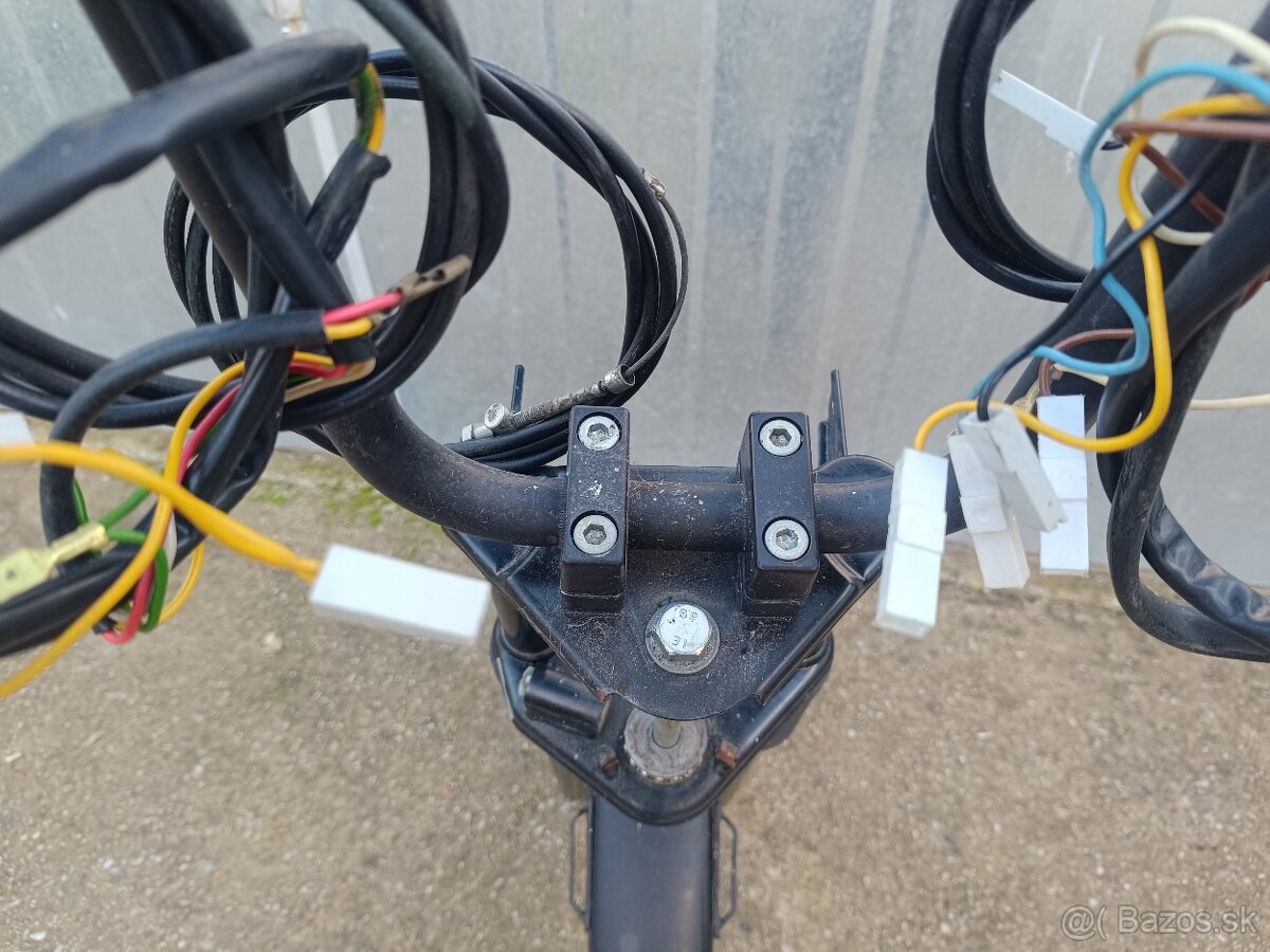 Predok manet Korado - 7