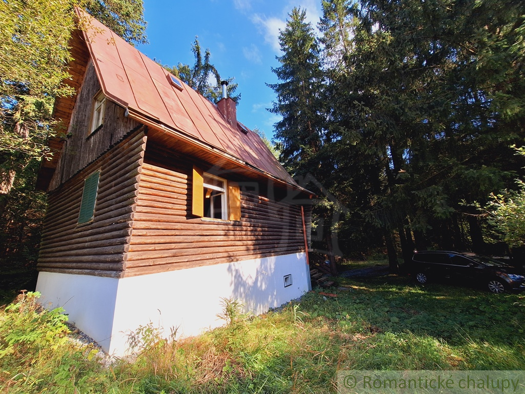 Útulná chata v tichom lesíku pri obci Olešná - 7