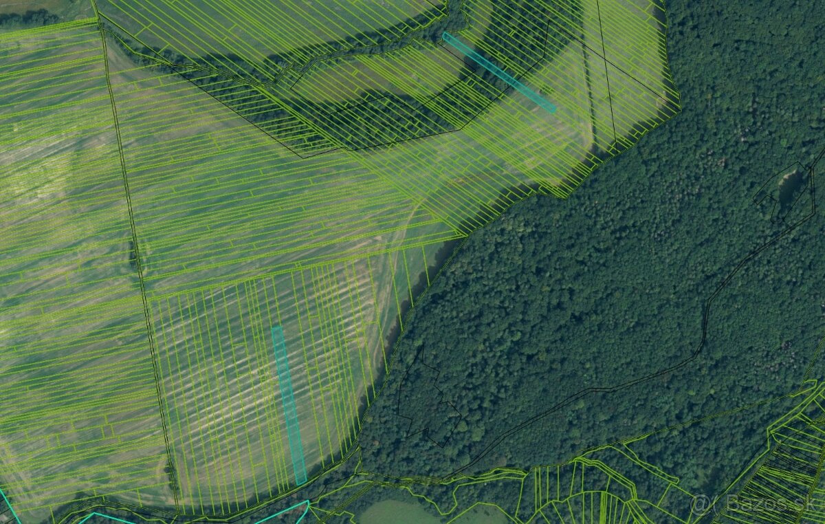 Veľký Blh - 503 m2 PÔDA a LESY – PREDAJ - 7