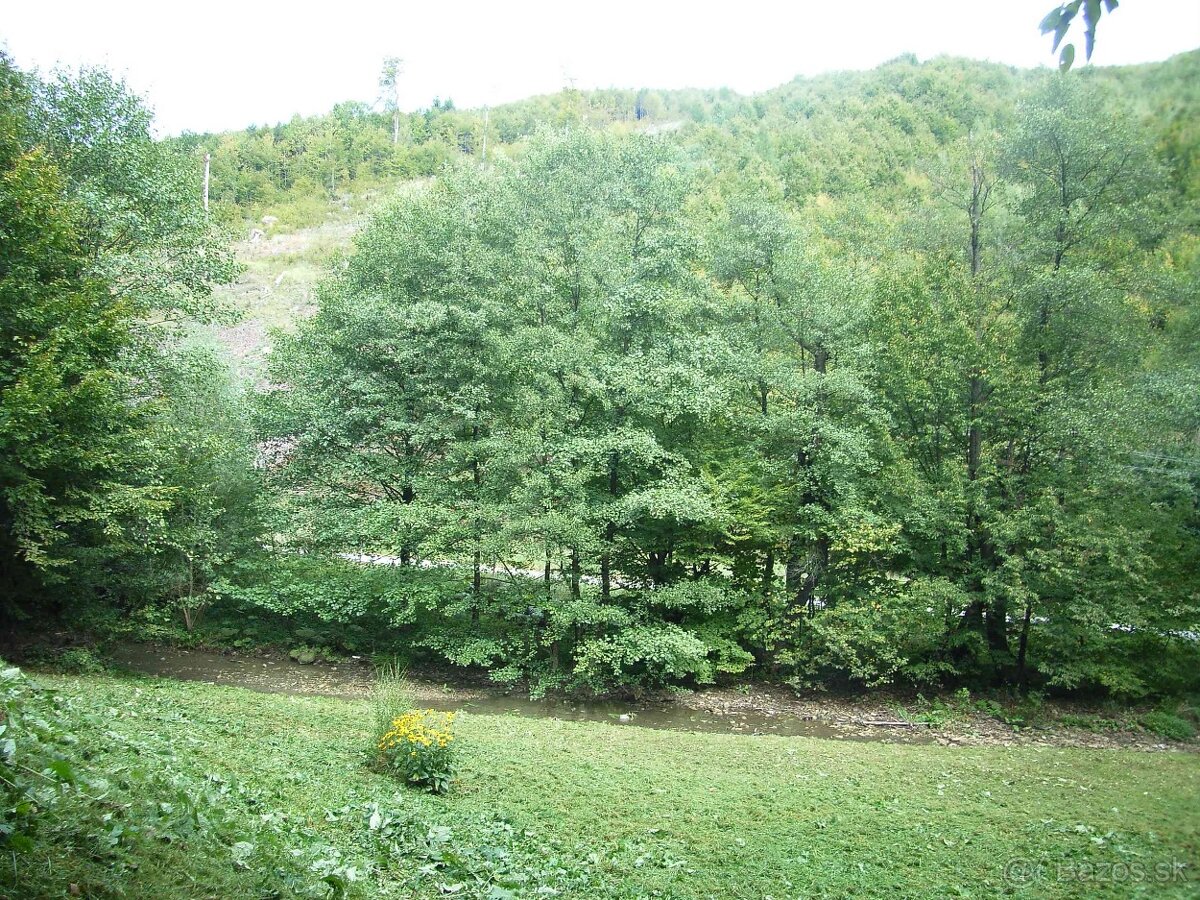 Na predaj veľký lesný pozemok Drietoma - Liešna, 6549m2 - 7