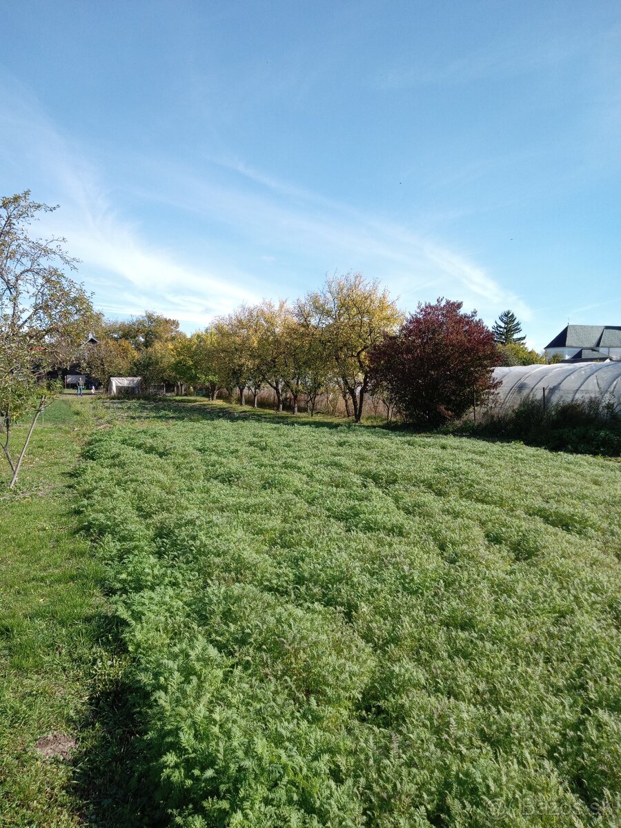 Rodinný dom Pavlovce nad Uhom - 7