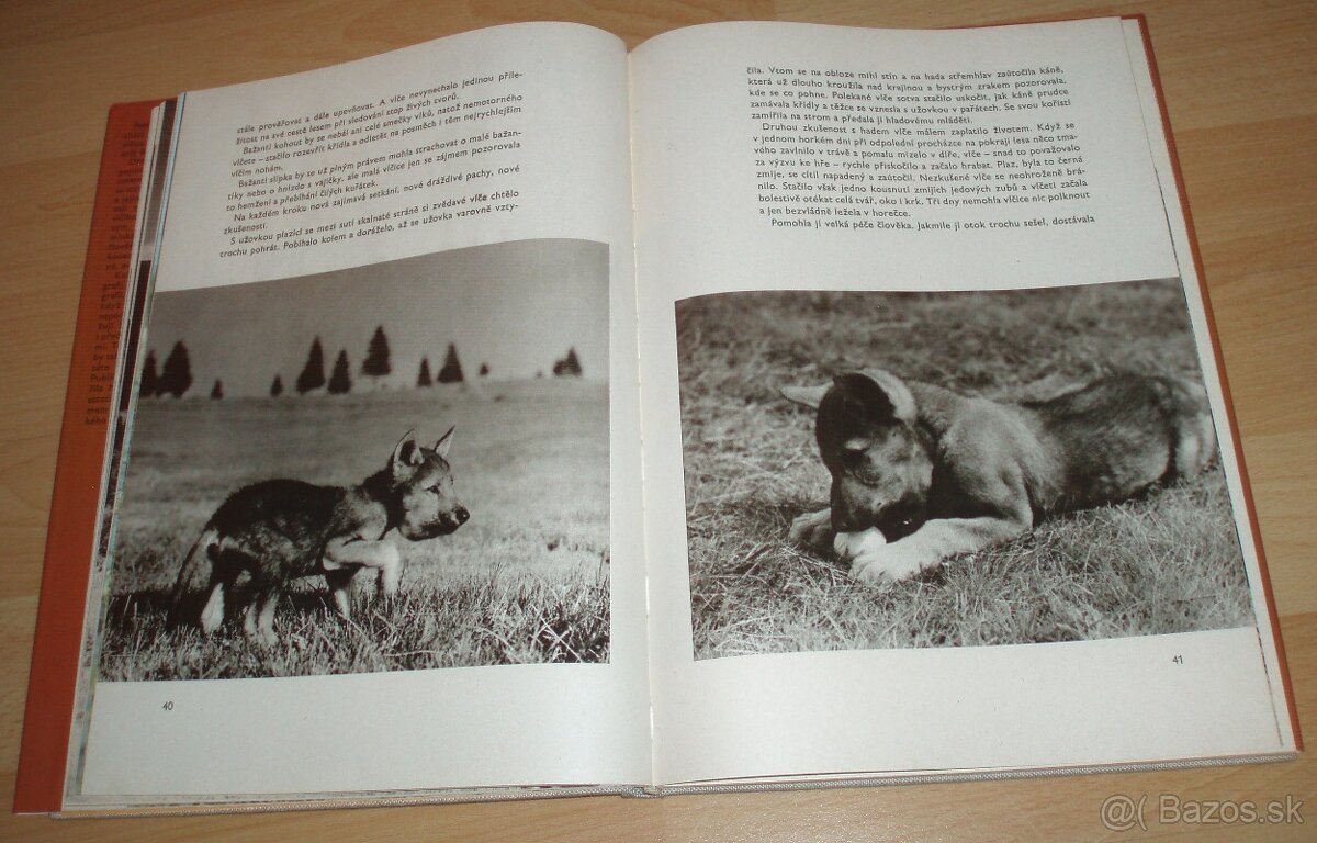 Osamělá vlčice - 7