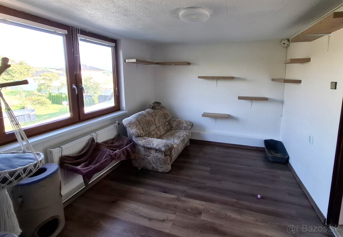 Hotel pre mačky - 7