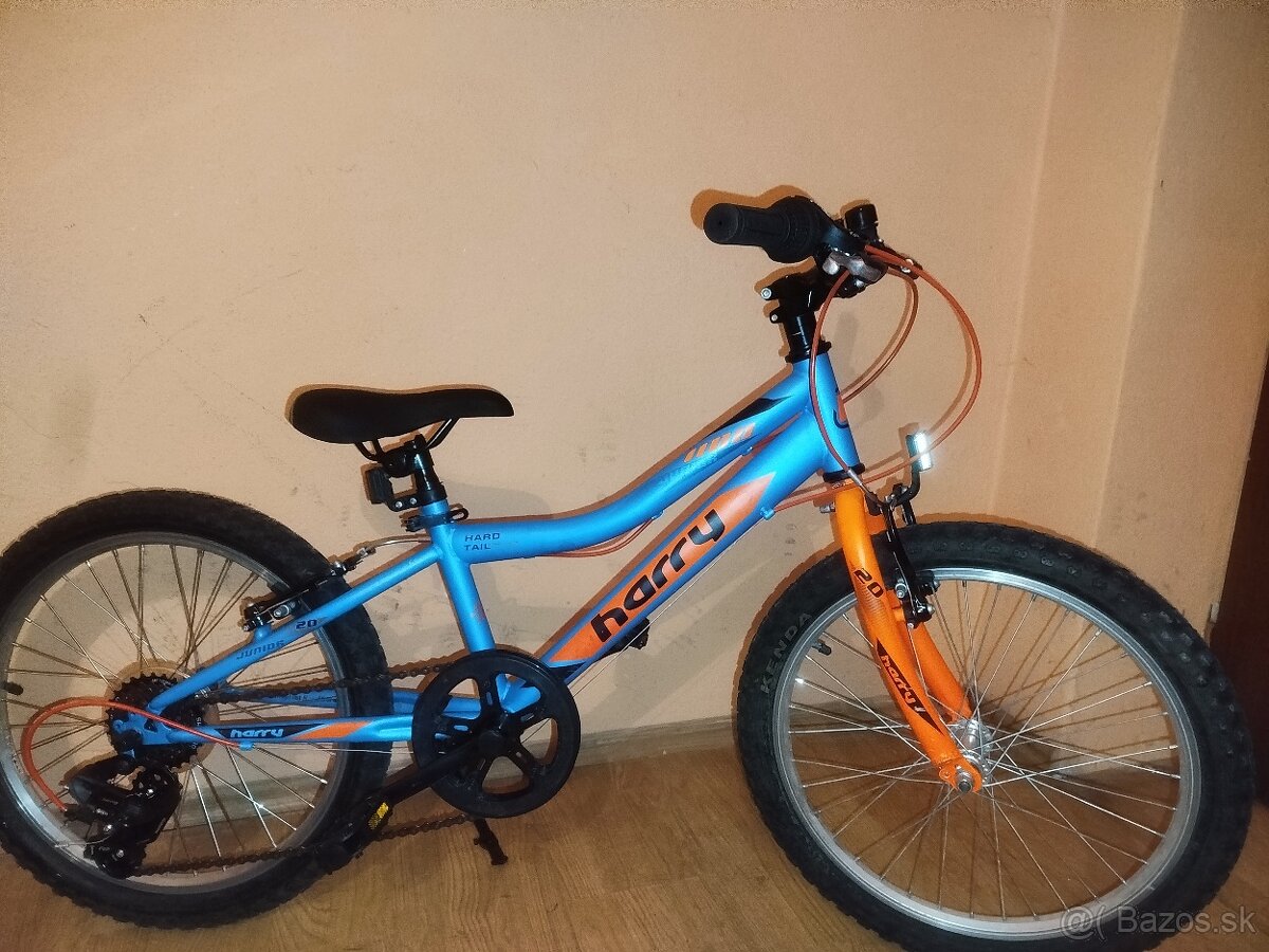 Detský bicykel Harry 20 - 7