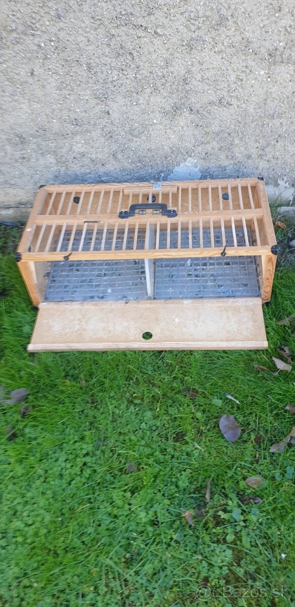 Predám poštové holuby / Eladók postagalambok - 7