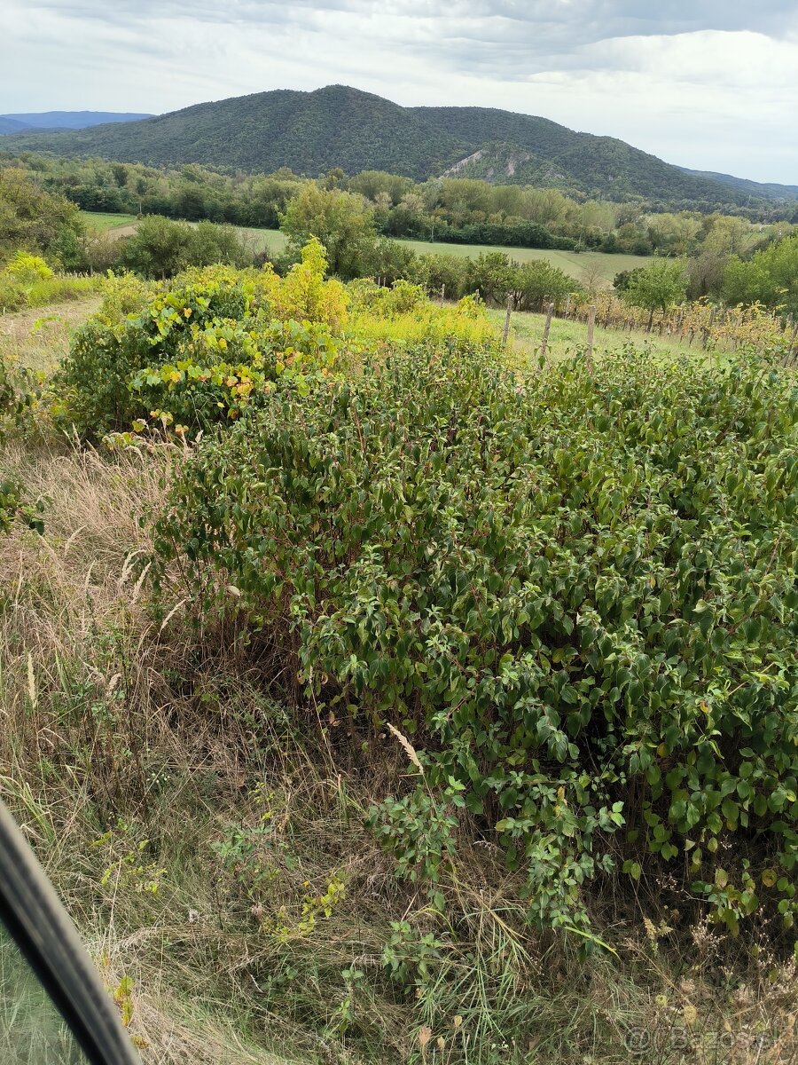 Lesna freza mulcovac - 7