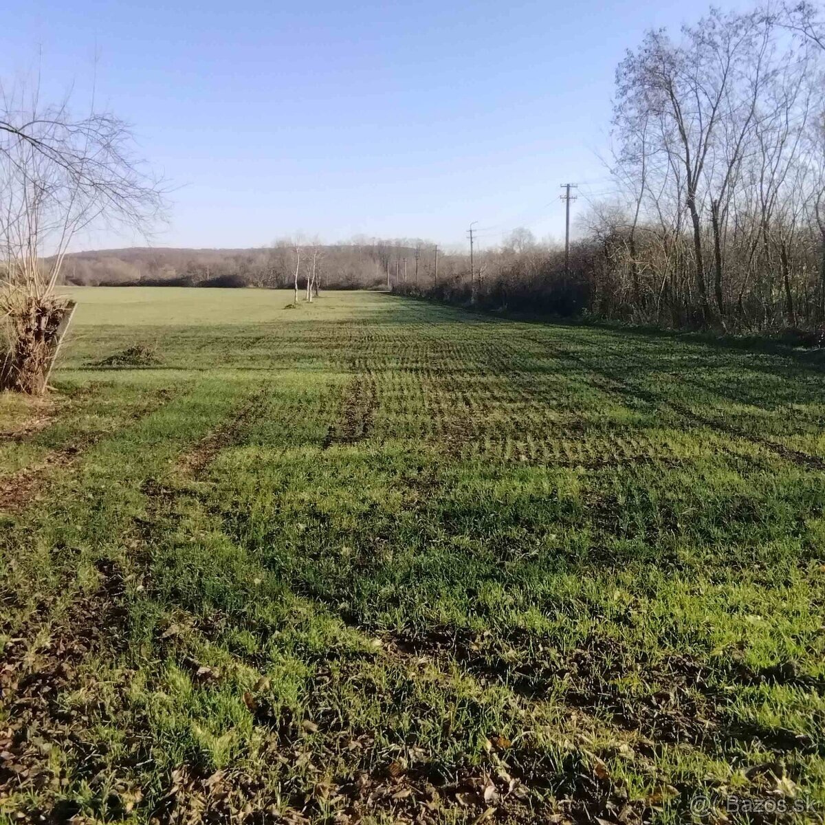 Dom Tesárske Mlyňany časť Tesáre - 7