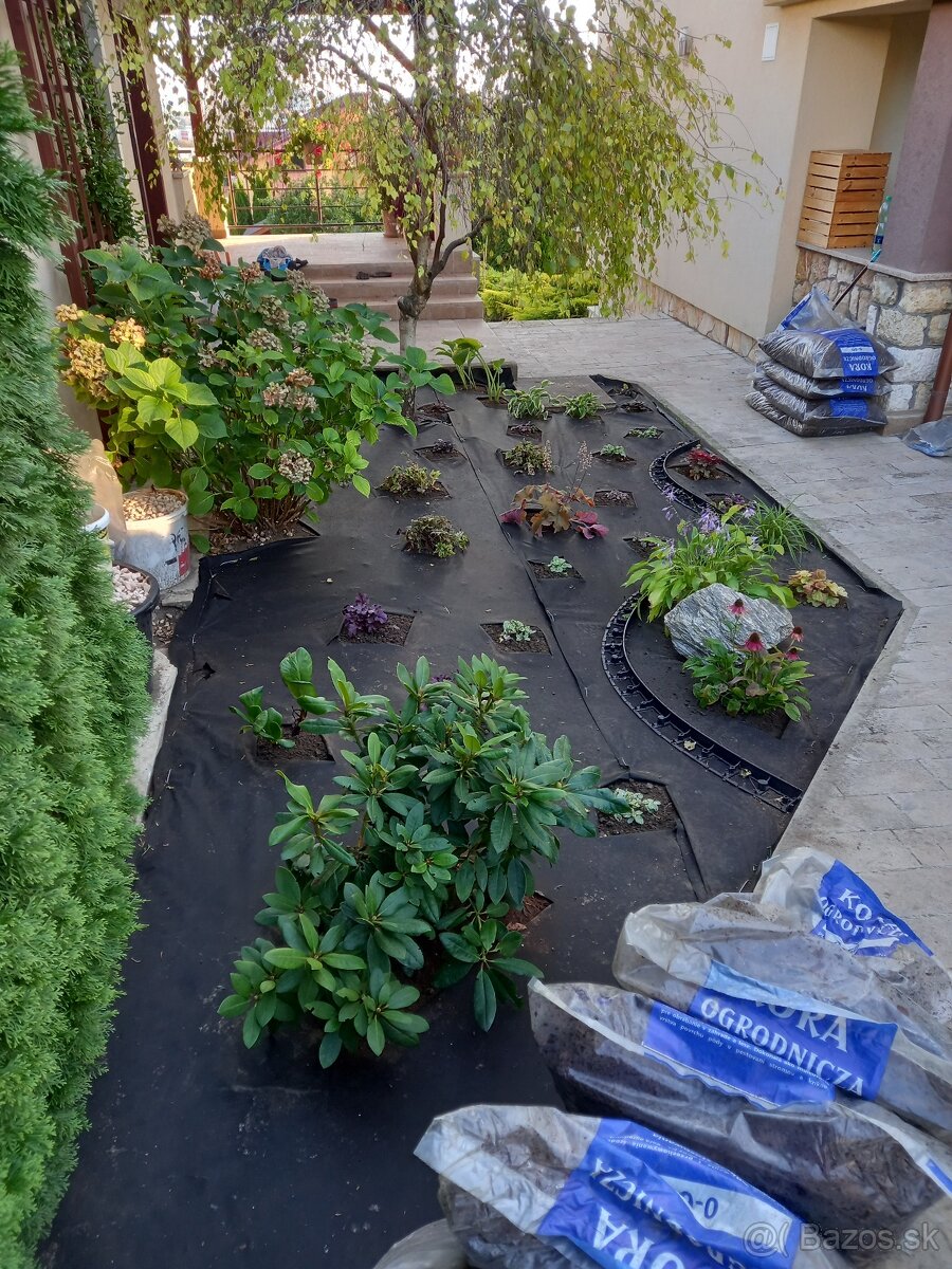 Realizácie záhrad,rez ovocných stromov a drevín - 7