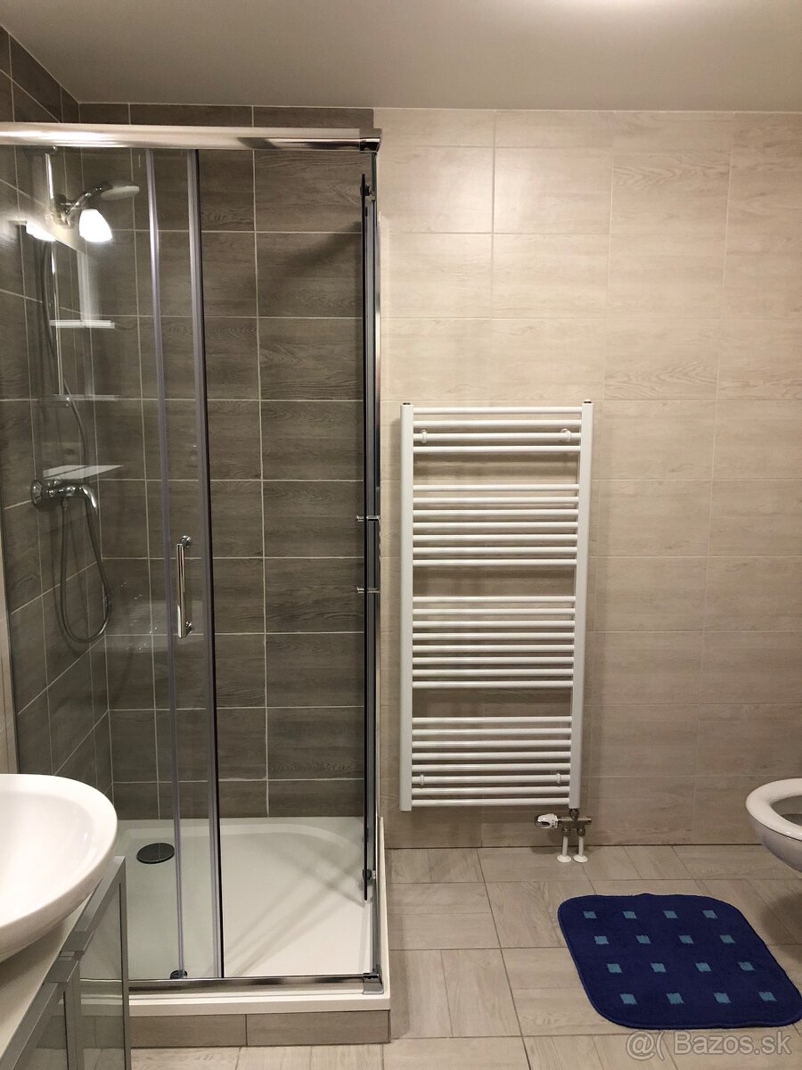 Prenájom 1izbovy byt - 7