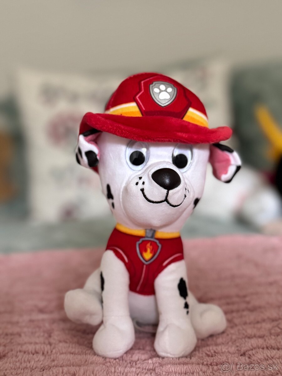 Labková patrola - Pawn Patrol - 7