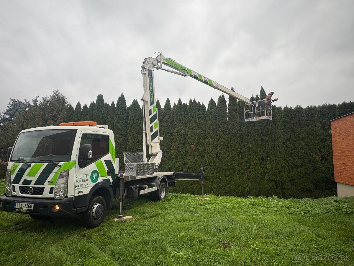 Pílenie stromov, výrub stromov - 7