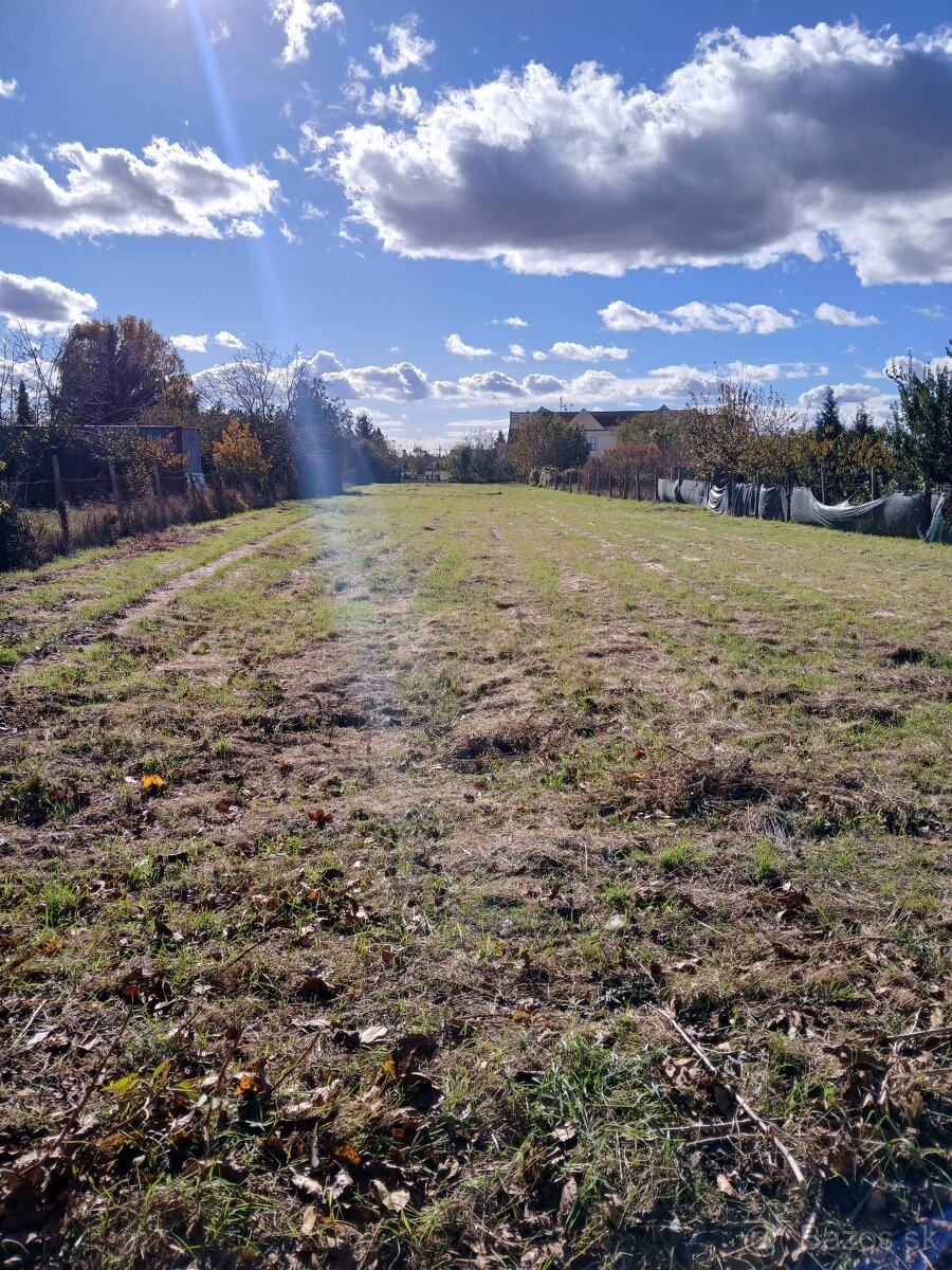 Predaj domu s veľkým pozemkom - 7