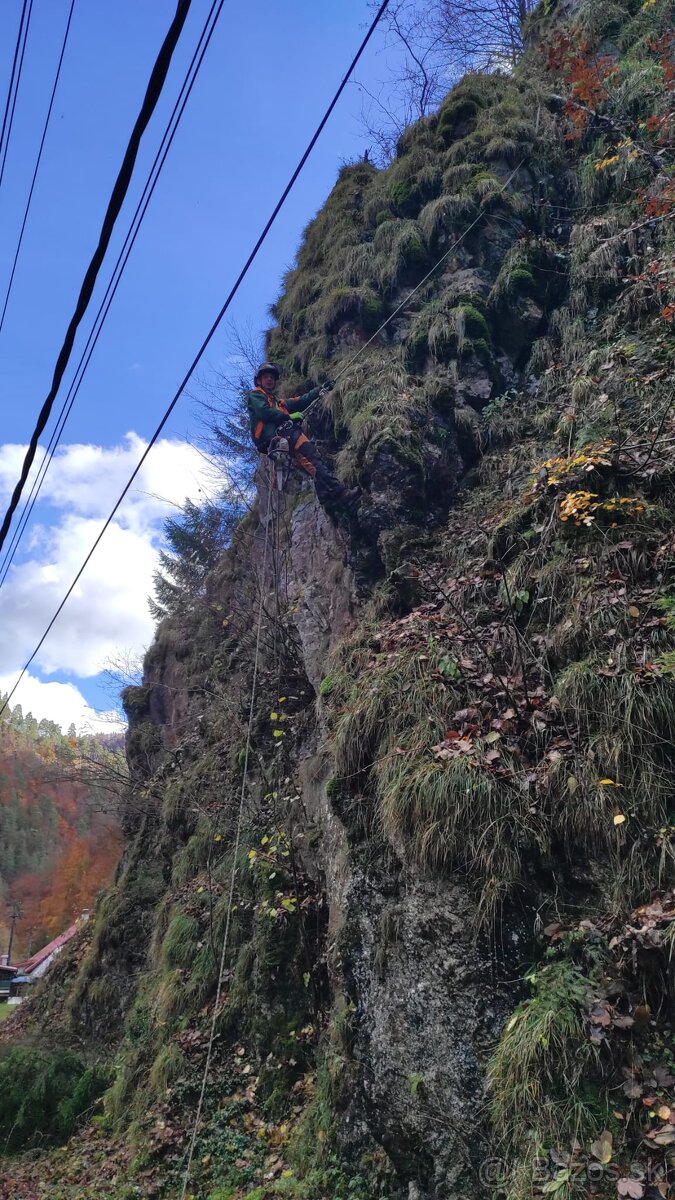VÝRUB/OREZ STROMOV, LACNO A BEZPEČNE - 7