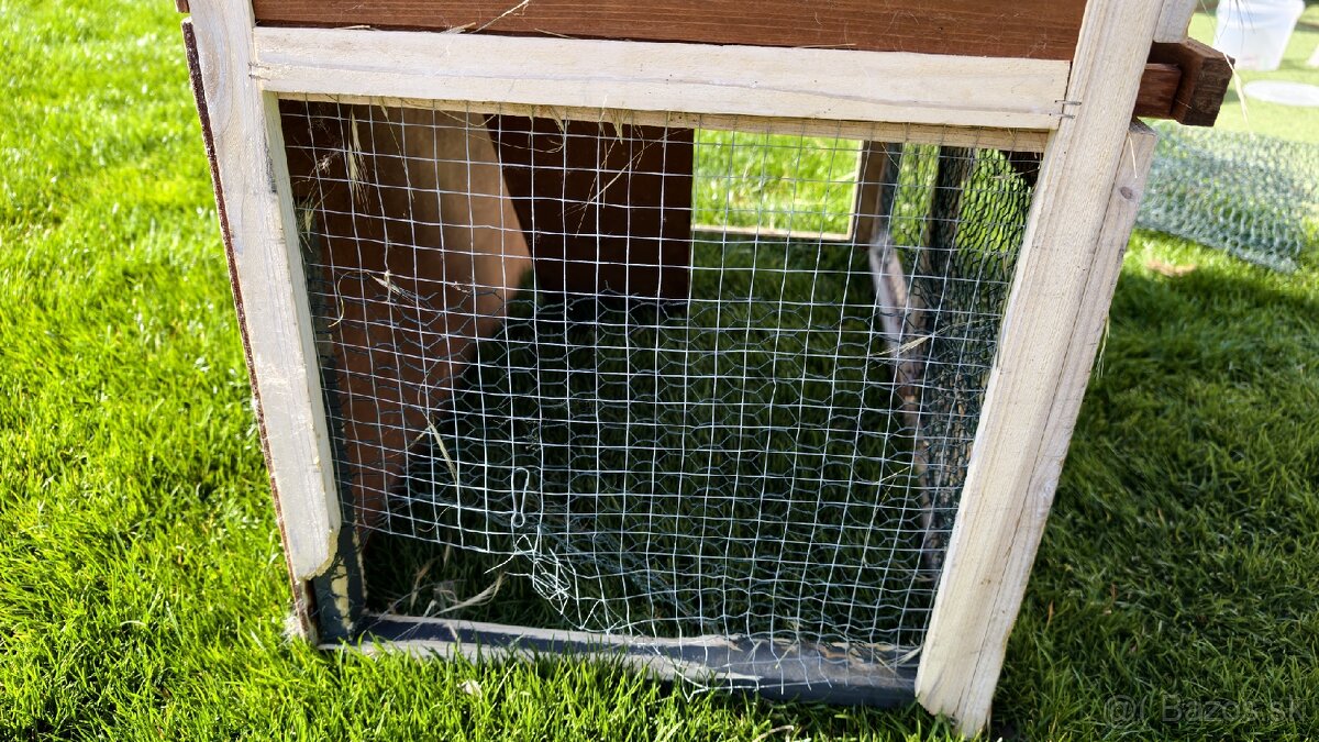 Domcek/klietka pre zajaca - 7