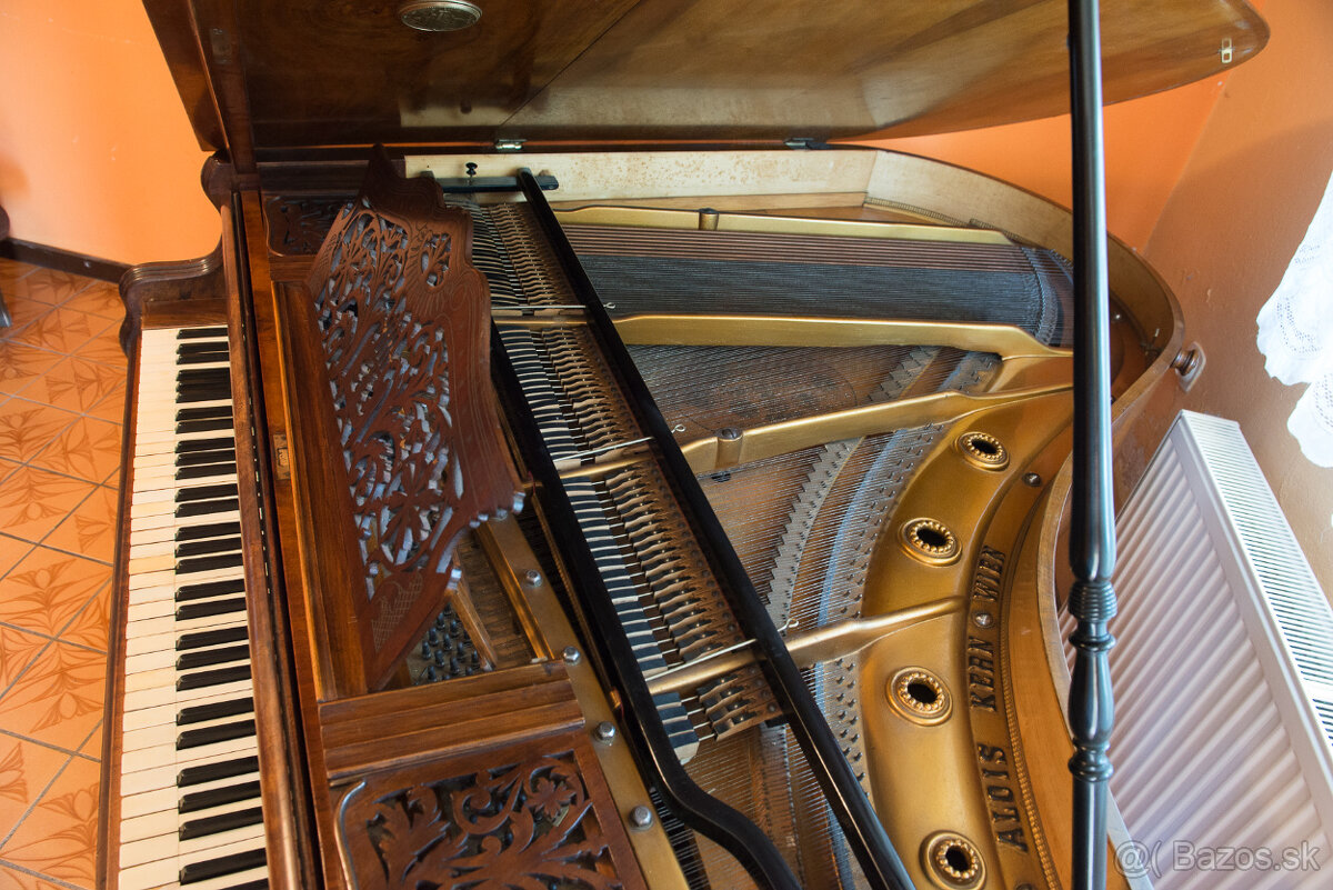 ALOIS KERN PIANO FORTE - 7