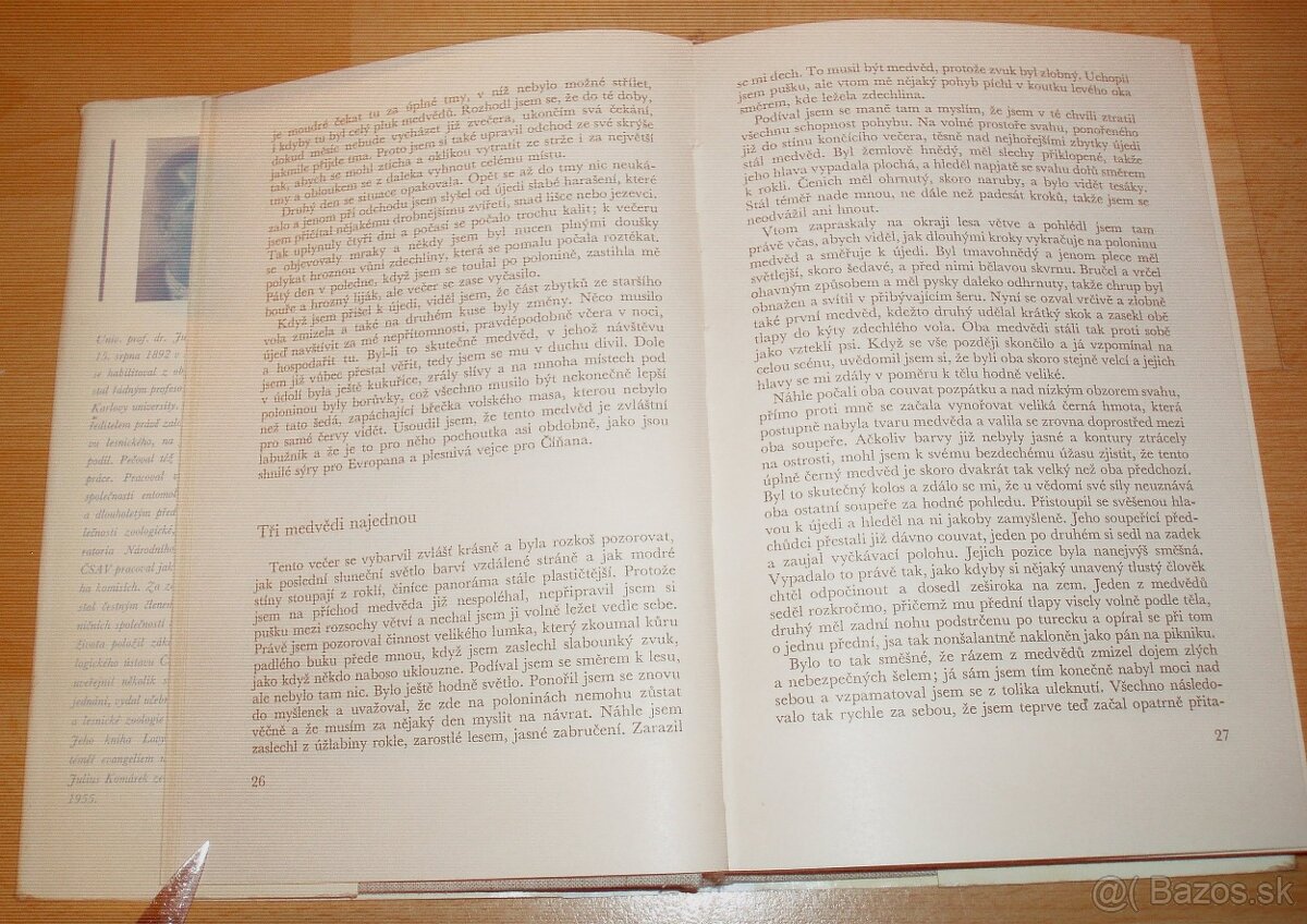 Lovy v Karpatech - 7