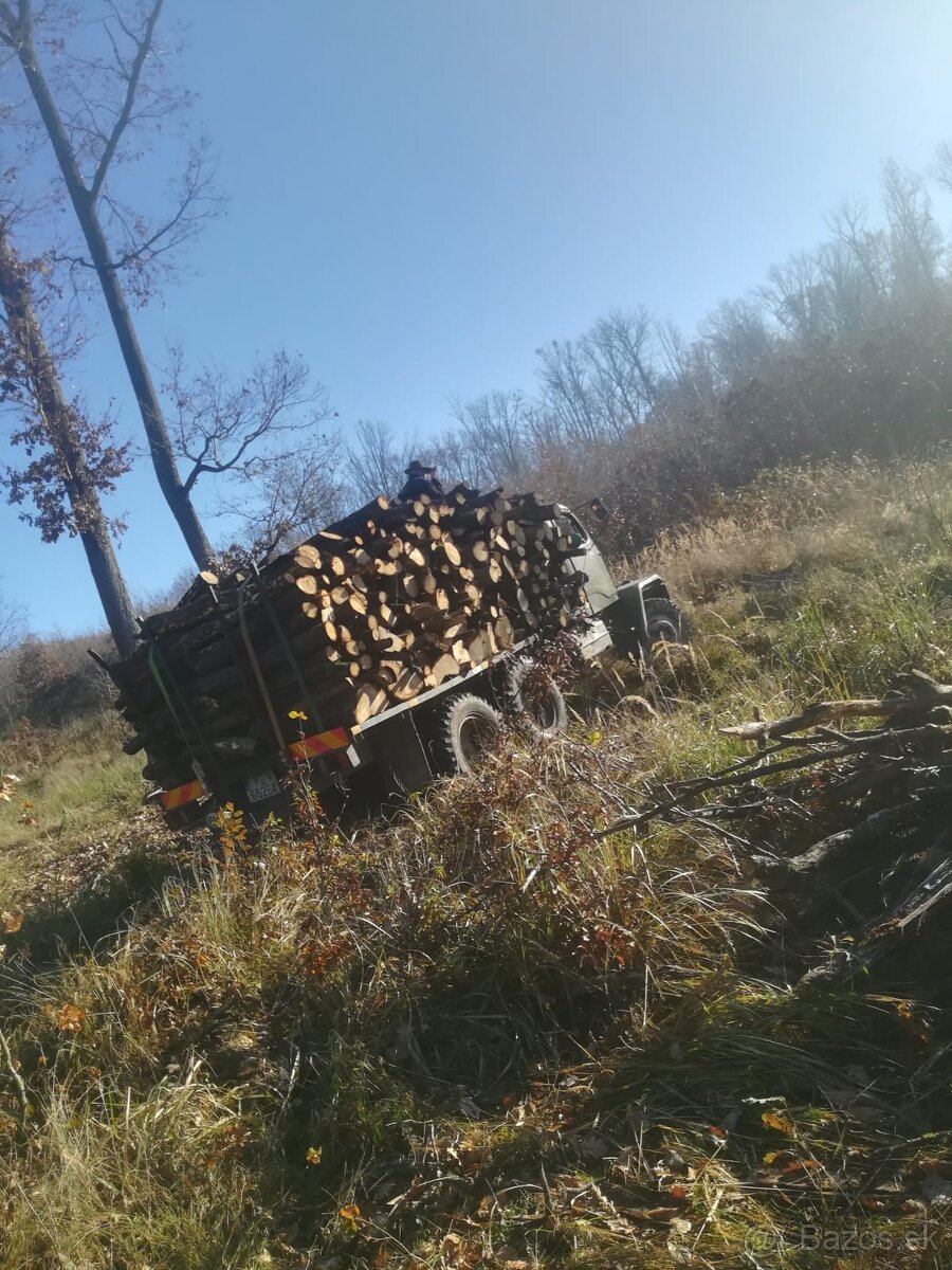 ČISTENIE POZEMKOV💪PÍLENIE DREVA💪KOSENIE KROV.RUČ RYĽOVANIE - 7