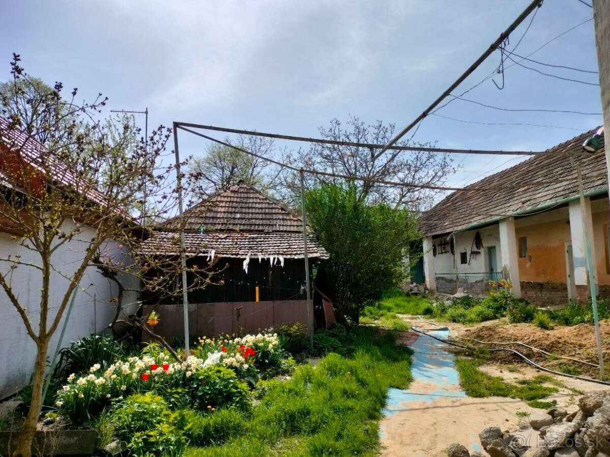 PREDAJ: Starší vidiecky dom s veľkým pozemkom a vínnou pivni - 7