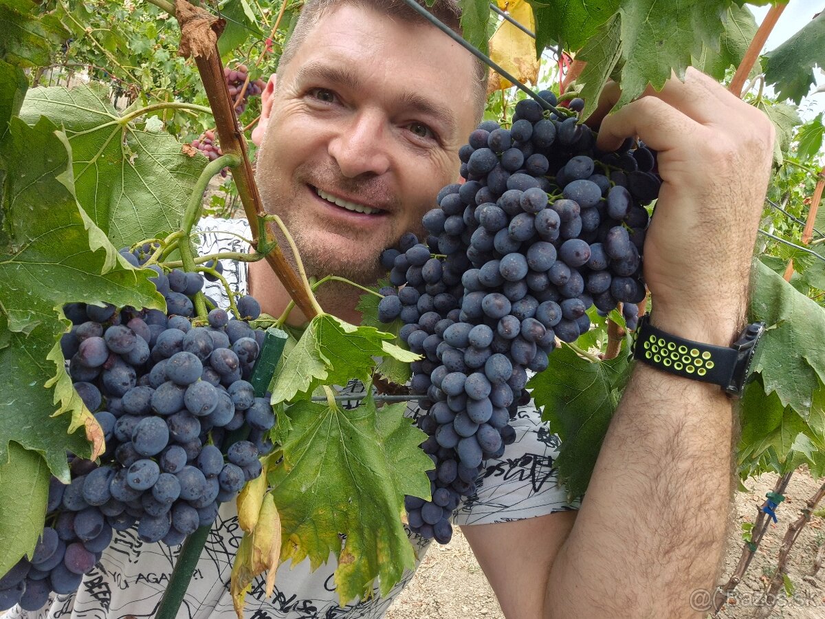 Predám pozemok v marcelovej. 1100m2 - 7