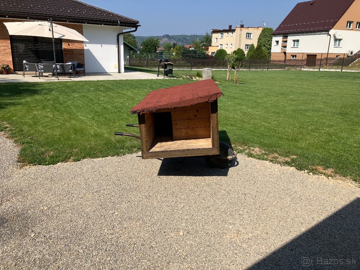 Búda pre psa - 7