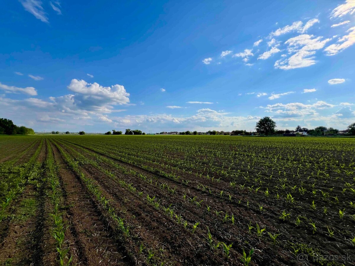 Vráble - 1421 m2 STAVEBNÝ pozemok - 7