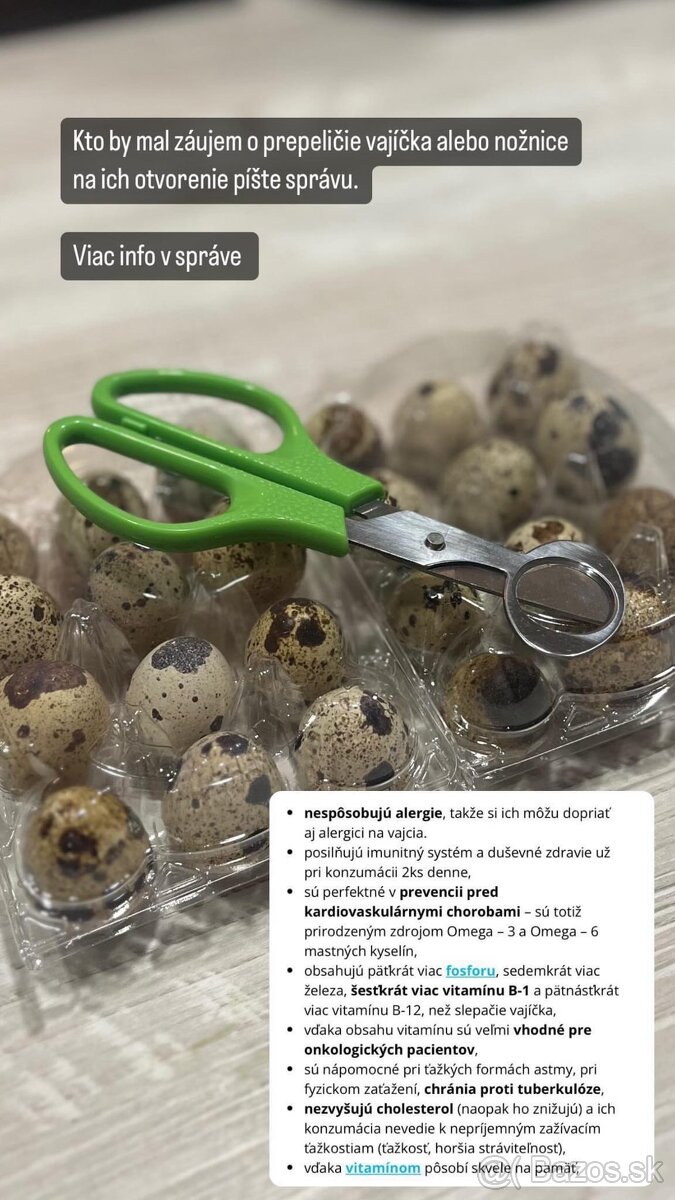 Prepelice japonské,prepeličie vajíčka,vajcia,trus,hnojivo - 7