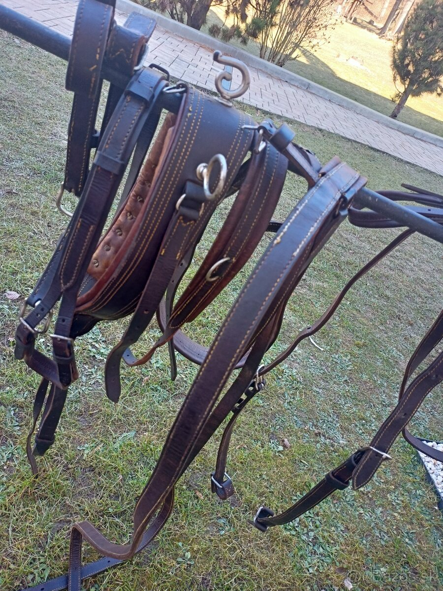 Hnedé kožené poprsne postroje na dva kone - 7