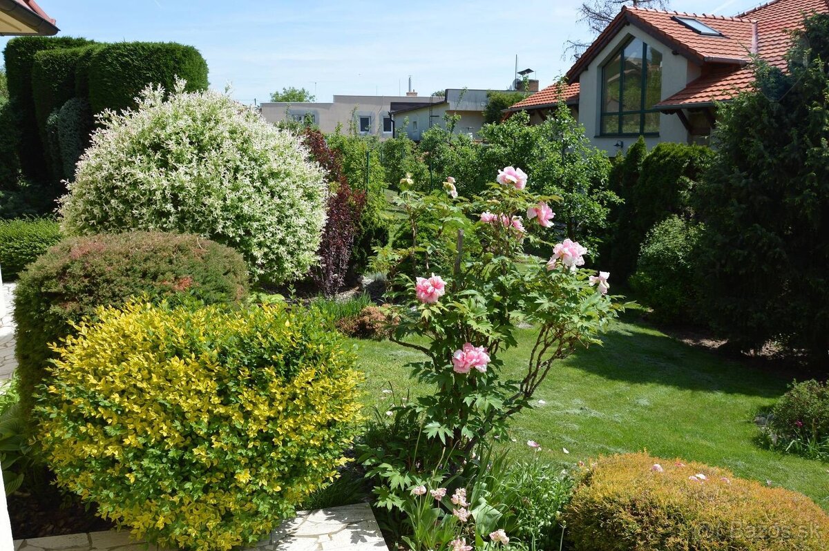 Predaj rodinný dom/vila Nitra Zobor - 7