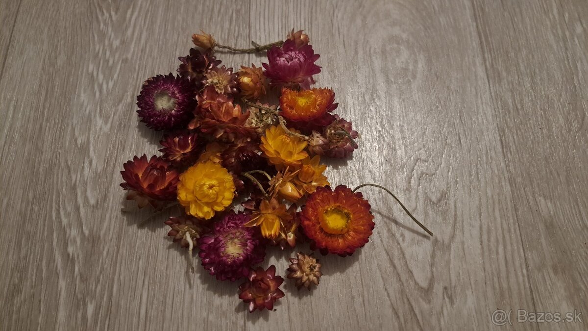 Sušené kvety - 7